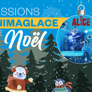 Animaglace de Noël à la Patinoire de Fontenay