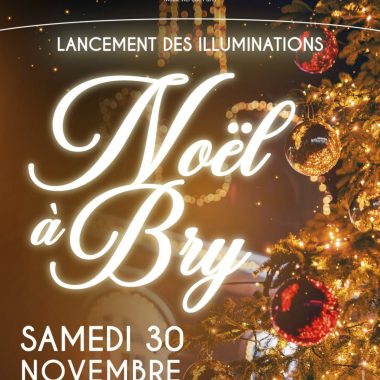 Marché et animations de Noël à Bry