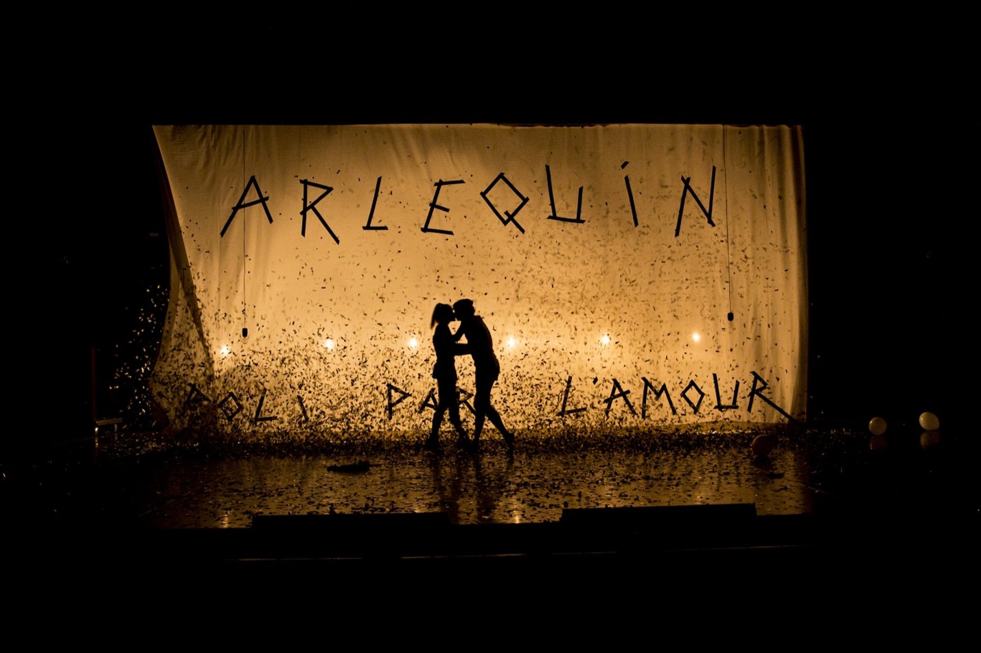 Arlequin poli par l