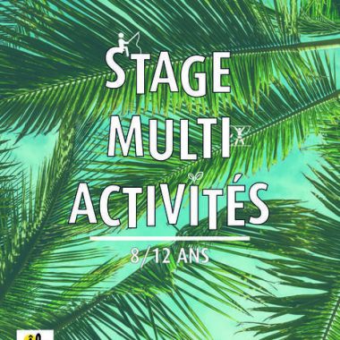 Stage Multi-activités sur l’Ile de Loisirs