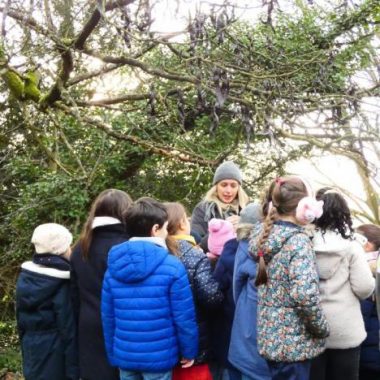 À la découverte du parc en famille à la MABA – Journées Européennes du Patrimoine