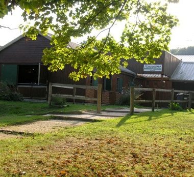 Stages d’équitation des Congés Scolaires au Poneyland de Thiais