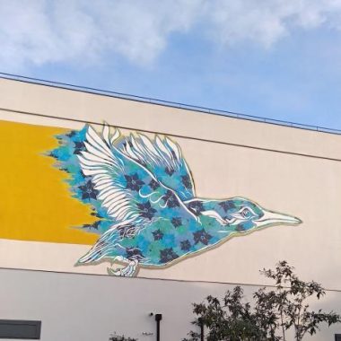 Balade street art à Champigny – PHENOMEN’ART