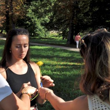 Baptême « cueillette de plantes sauvages » au domaine national de Saint-Cloud