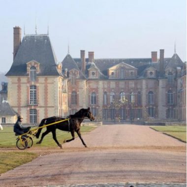 Le centre d’entraînement hippique de Grosbois – Journées du Patrimoine