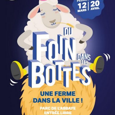 Du Foin dans les Bottes – Ferme Pédagogique