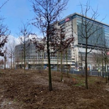 La place de Catalogne une forêt urbaine dans le 14ème