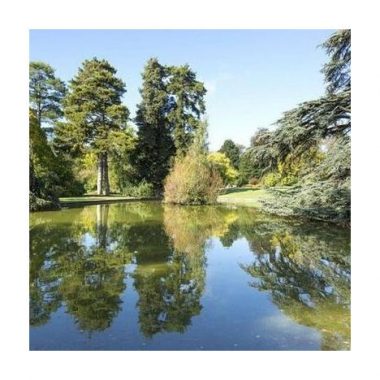 Le jardin du Trocadéro du Domaine national de Saint-Cloud