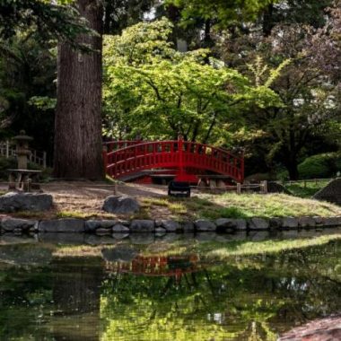 Musée Départemental Albert-Kahn et ses jardins