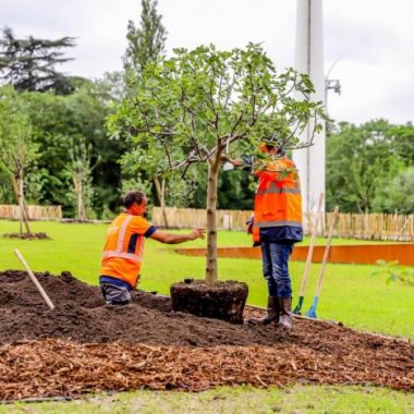 Plantation citoyenne sur la Végétale