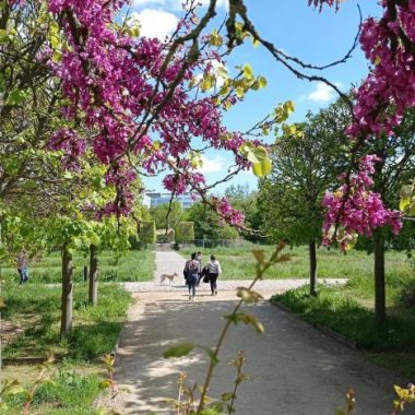 Rando à la découverte d’Issy-les-Moulineaux