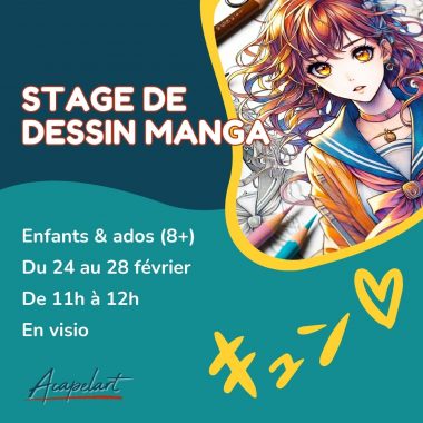 Stage de dessin manga EN VISIO