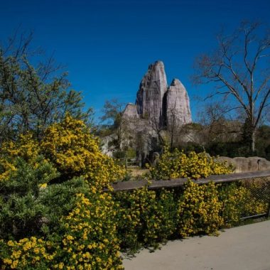 Le Printemps au Zoo de Vincennes